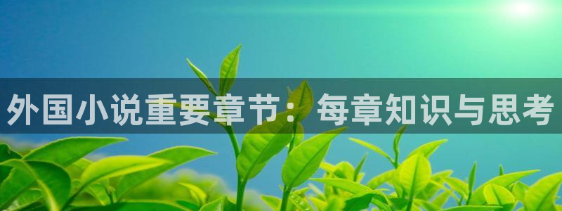 起点的小说封面：外国小说重要章节：每章知识与思考